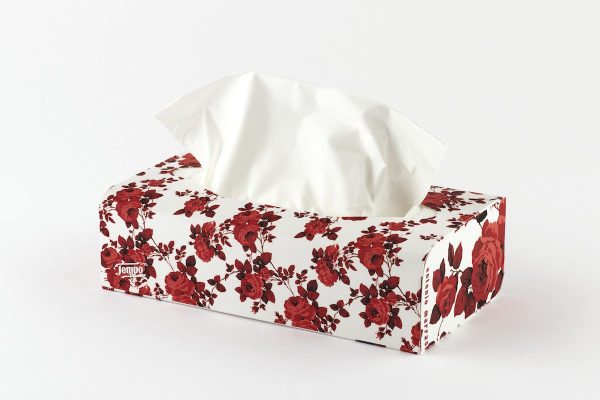 TEMPO TISSUES BOX BY80