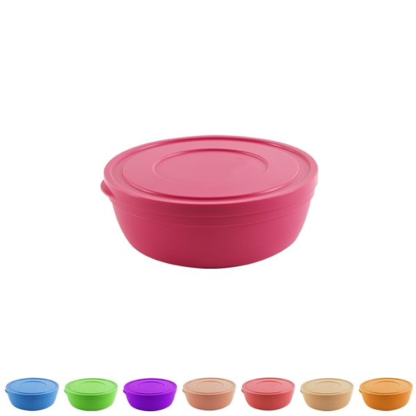 SANDY BOWL WITH LID 1LTR